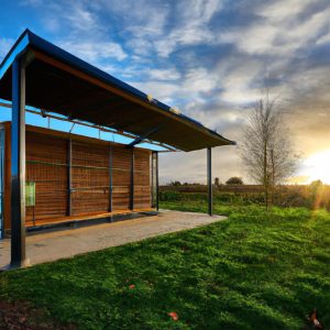 Solar-Powered Shed Lights
