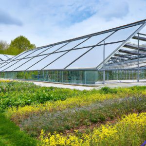 Solar Greenhouses: Empowering Modern Agriculture