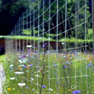 Solar Electric Fences: Gardening's Power Play