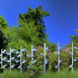 Solar-Powered Electric Fences: Garden Guardians