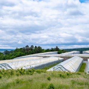 Solar-Powered Greenhouses: Growing Crops All Year Round with the Sun's Help.