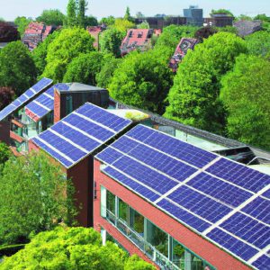 Solar Panels + Green Roofs: Inspiring Successes for a Greener Future