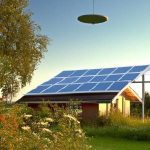 Sun-Powered Pest Control: Eco-Friendly Solution