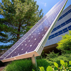 Solar Energy: Fueling Workplace Sustainability
