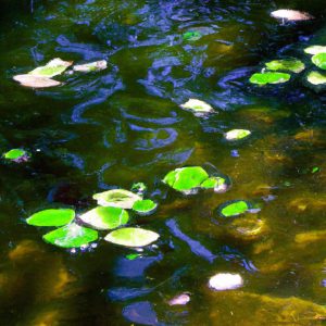 Solar-Powered Pond Aeration Systems