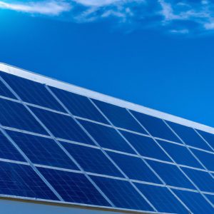 Solar Panels: Green Savings & Eco Profits