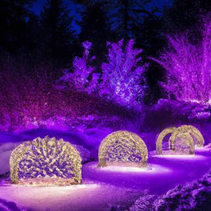 Winter Glow: Optimizing Solar Pathway Lights in Cold Weather
