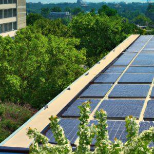 Powering a Green Future: Solar Panels & Green Roofs Join Forces