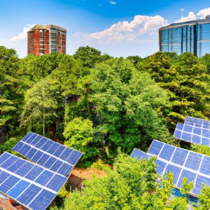 Solar Panels + Green Roofs: A Sustainable Duo