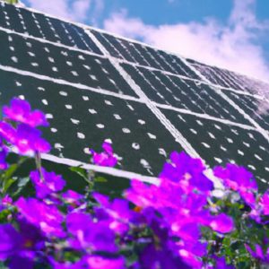 Solar Power: Revolutionizing CSR for a Greener Future