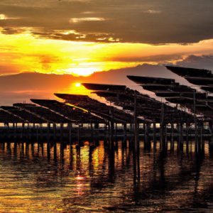Floating Solar Panels: Unlocking New Horizons in Renewable Energy