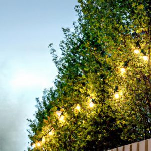 Solar-Powered Deck Lights