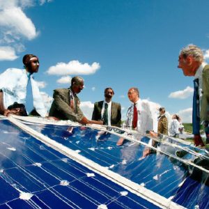 Greening the Workplace: Empowering Employees for Sustainability