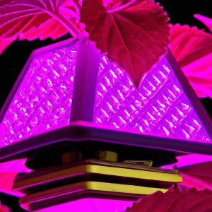 Solar Power: Illuminating Gardens & Beyond