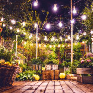 The Magic of Solar-Powered String Lights